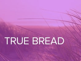 True Bread Ministry (Vineyard Community Church)