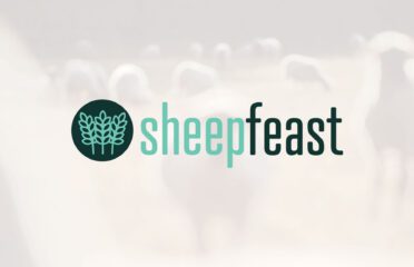 SheepFeast LLC